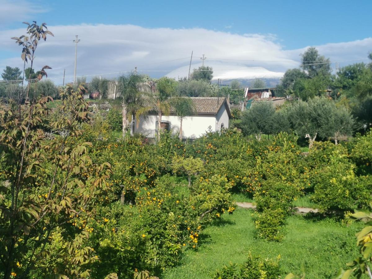 Maison d'hôtes La Fattoria Dei Nonni à Paterno  Extérieur photo