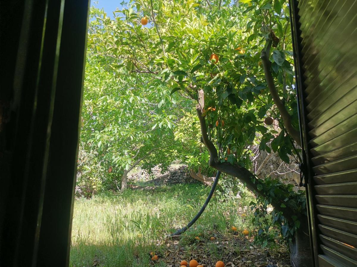 Maison d'hôtes La Fattoria Dei Nonni à Paterno  Extérieur photo