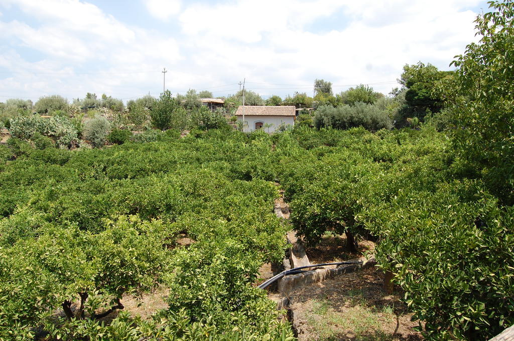 Maison d'hôtes La Fattoria Dei Nonni à Paterno  Extérieur photo